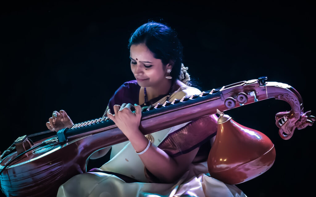 sitar vs veena